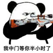 战术性白给选手.