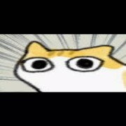 OrangeSheep