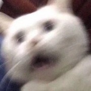 梦没你想的那么美