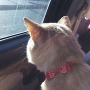 MADNESSBREEDSMADNESS