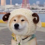 跐溜
