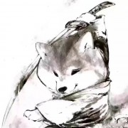 活蹦亂跳的三百块