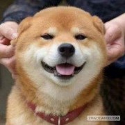佐罗男