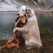 我想吃南瓜粥