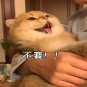求实创新励志图强