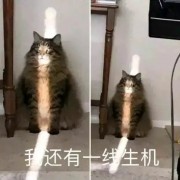 丶菜是原罪