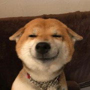 我是大表哥啊