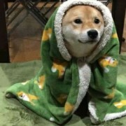 夜雨声烦ㅤ