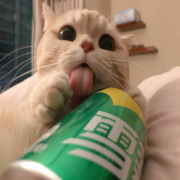 ★晴