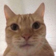 溧阳高中生