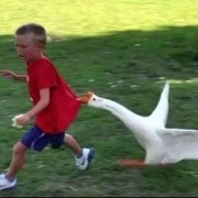 你不要过来啊aa