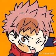 野马1207