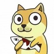滑稽的小司机