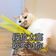 干拉不动的老年人