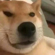 Ran丶L