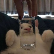 责任神罢了