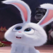 芜湖我要起飞啦