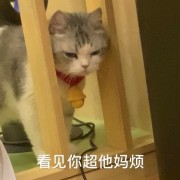 补下枪吧球球了