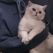 浮梁