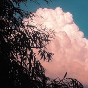 天边的云你慢些走