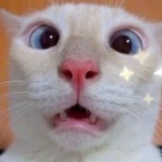 六六六六六个6