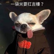 国服顶级单细胞