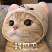 Nico忧痴痴
