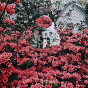 抓住机会就讲理