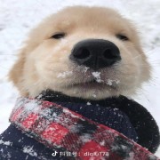 條野太郎灬