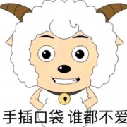 xiyangyang.exe