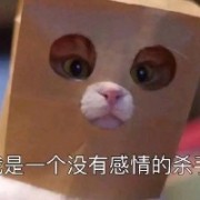 清风慰茶