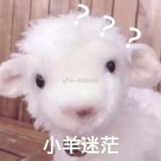 棋门永存