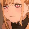 宇智波d猫猫