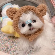 某只会枪头