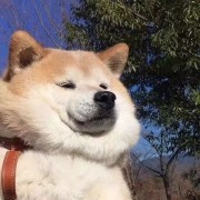 1hpovo