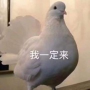 在A大