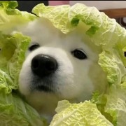 努力寻找北京富婆