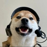 呆洋同学