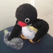 孙琪闳
