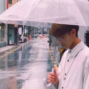 黎南部飞
