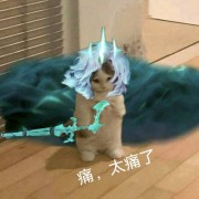 千古风波试其手