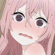 水瓶里的猫