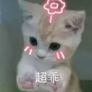 她曾让我孤立无援