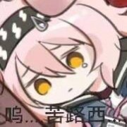 羊羊不会fps
