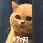 AK娃子想要粉