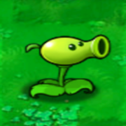 Deserteagleplz