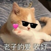 手握星辰,无这人