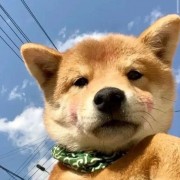 赣州彭于彦