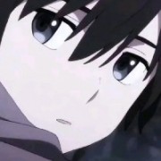 2031704060