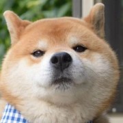 未讫